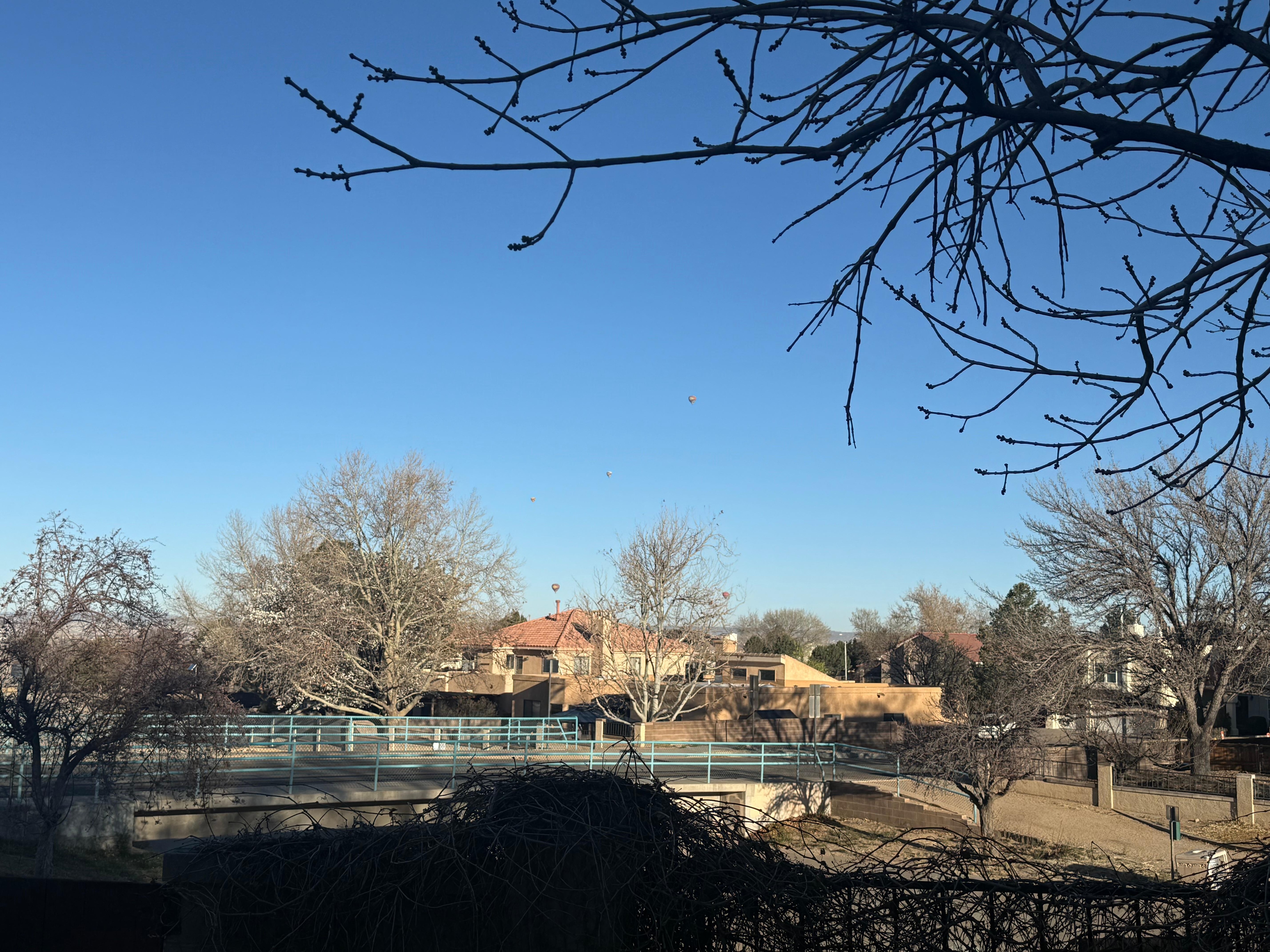 Pretty morning, balloons were just beginning to rise…