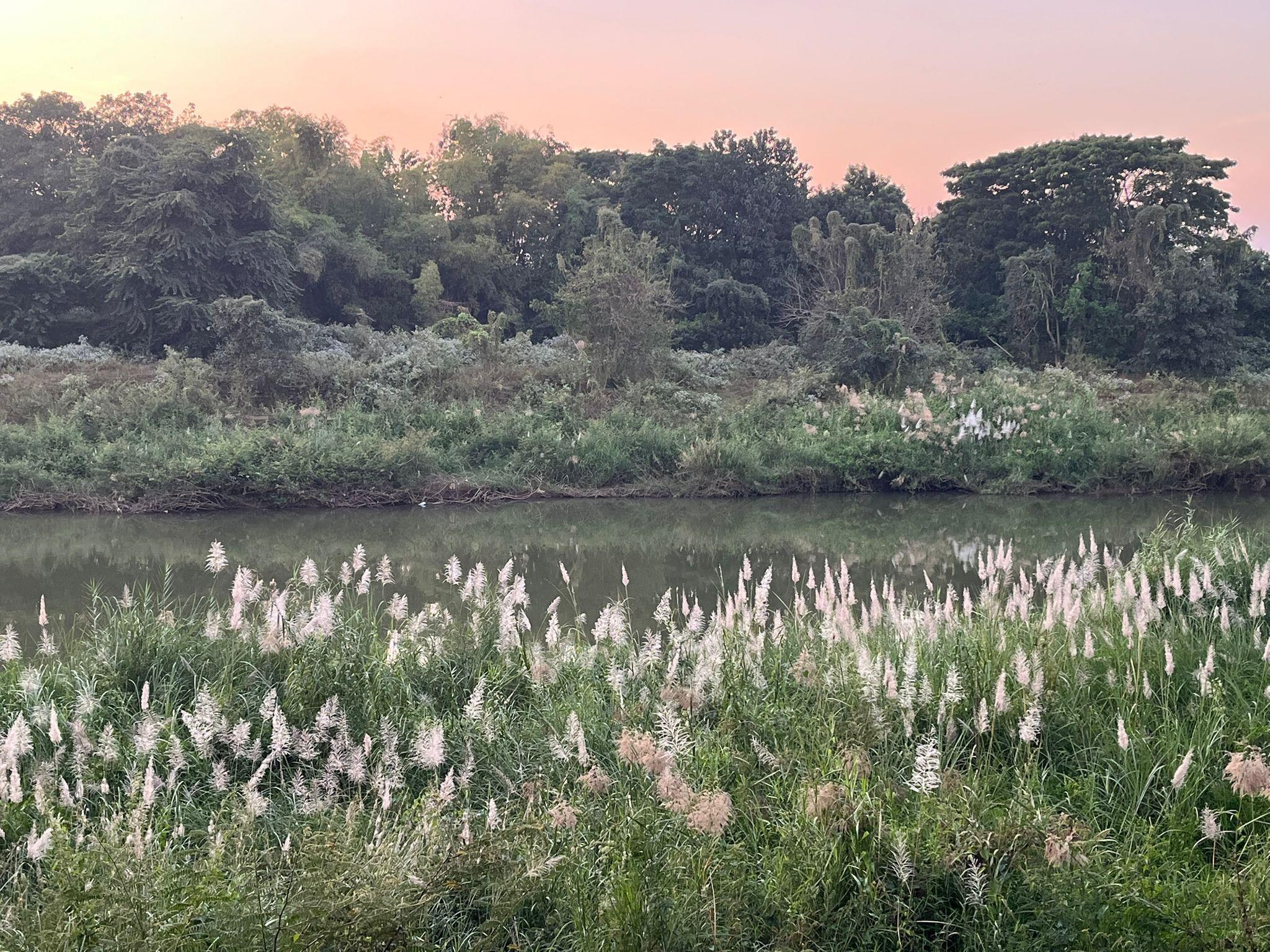 lagoon from the room