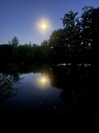 Spiegelung des Vollmonds im Teich