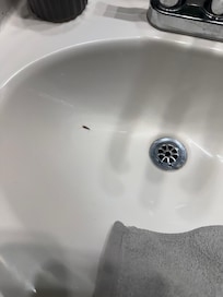 Bathroom sink with silver fish