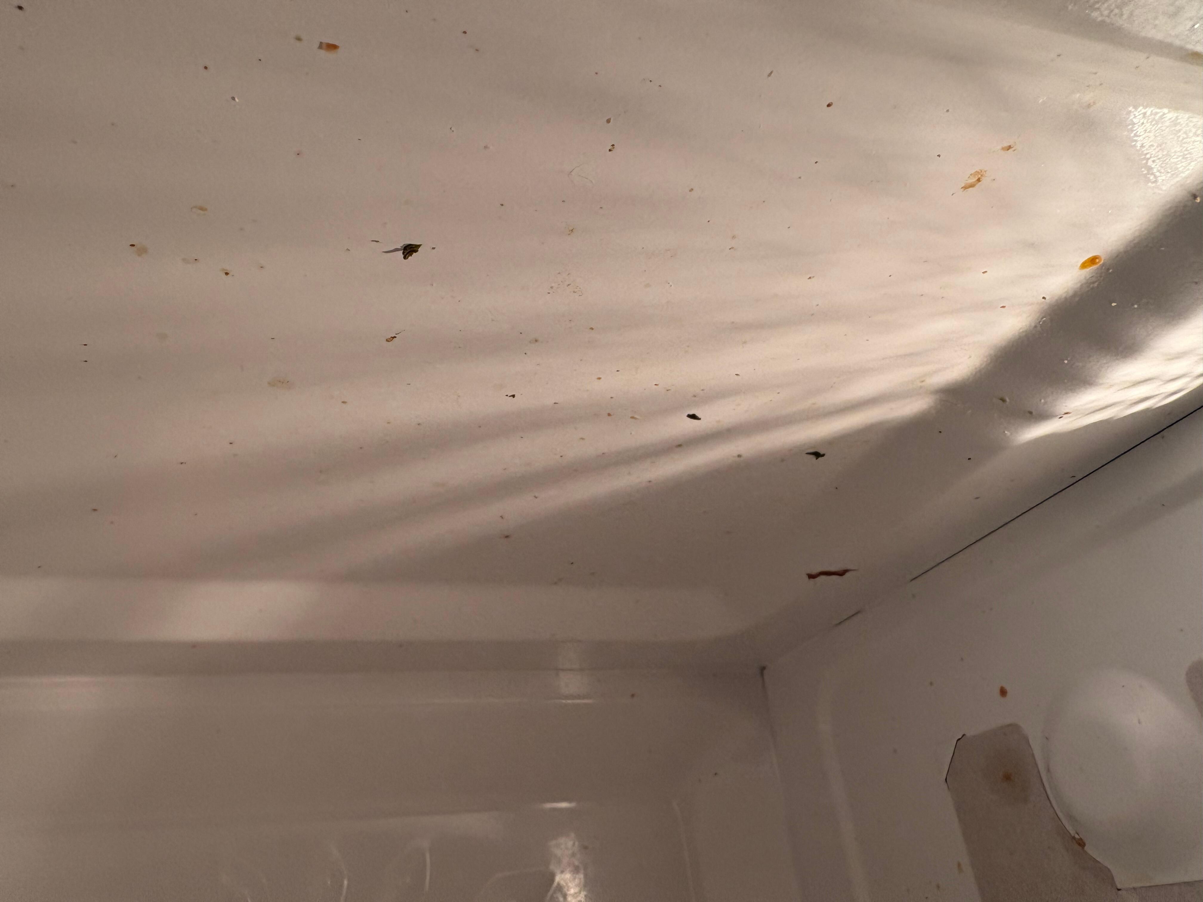 Microwave was filthy