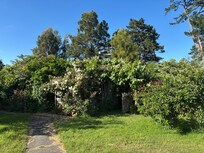 Ramshackle garden. Lovely!!