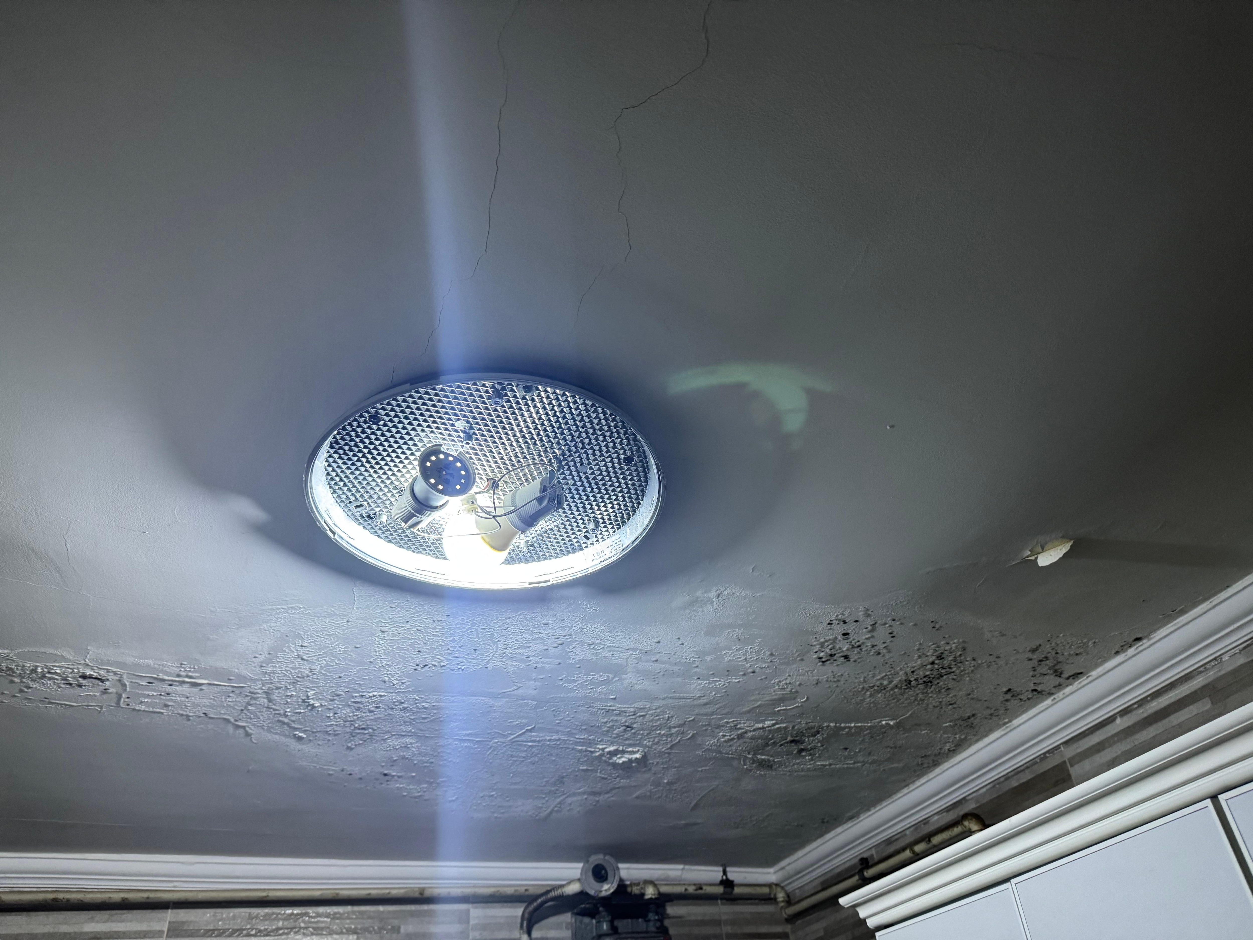 Toxic black mold on kitchen ceiling 