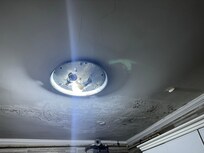 Toxic black mold on kitchen ceiling