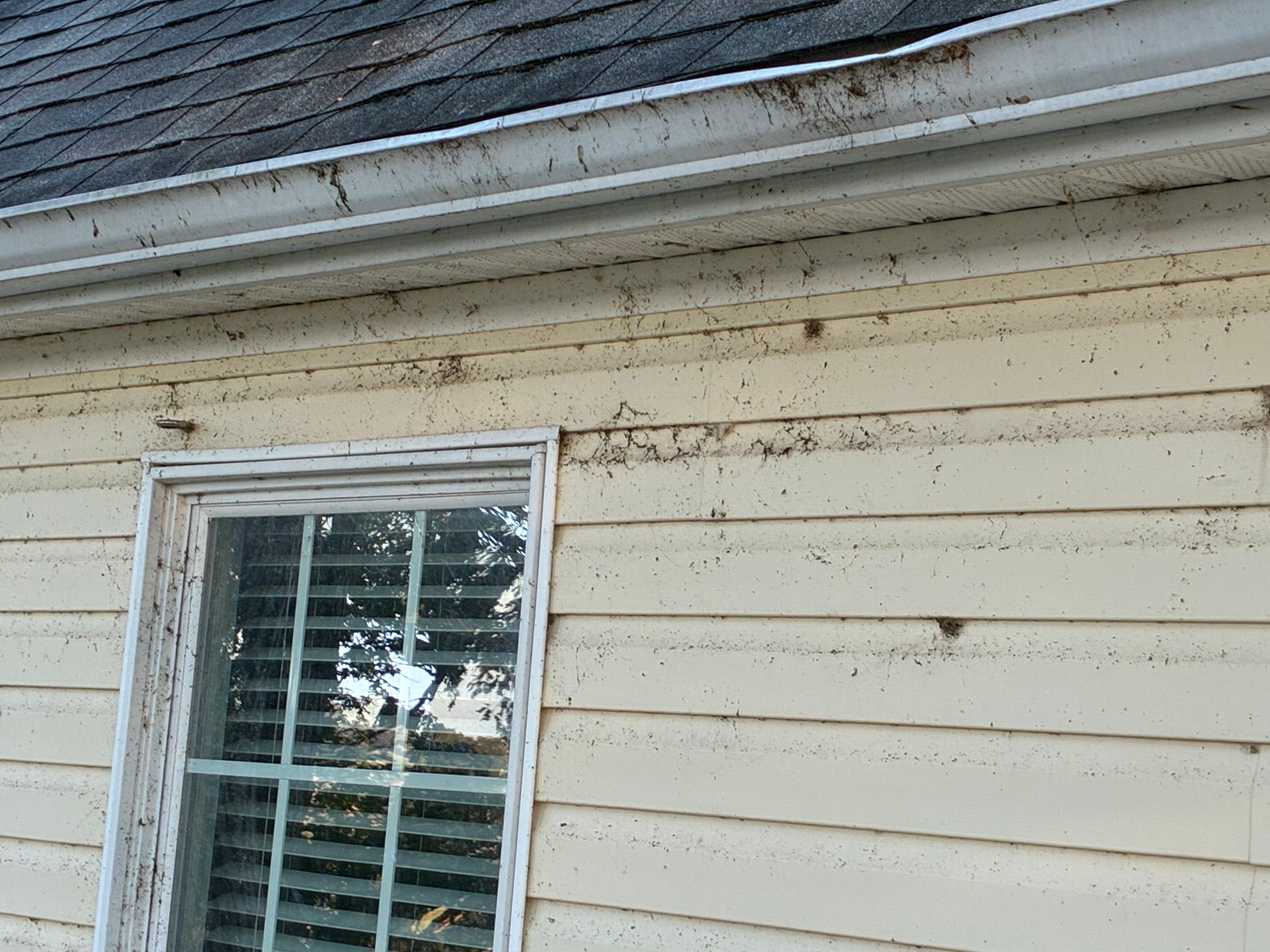 Dirty back wall of house that you have to sit and look at while you eat.