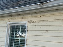 Dirty back wall of house that you have to sit and look at while you eat.