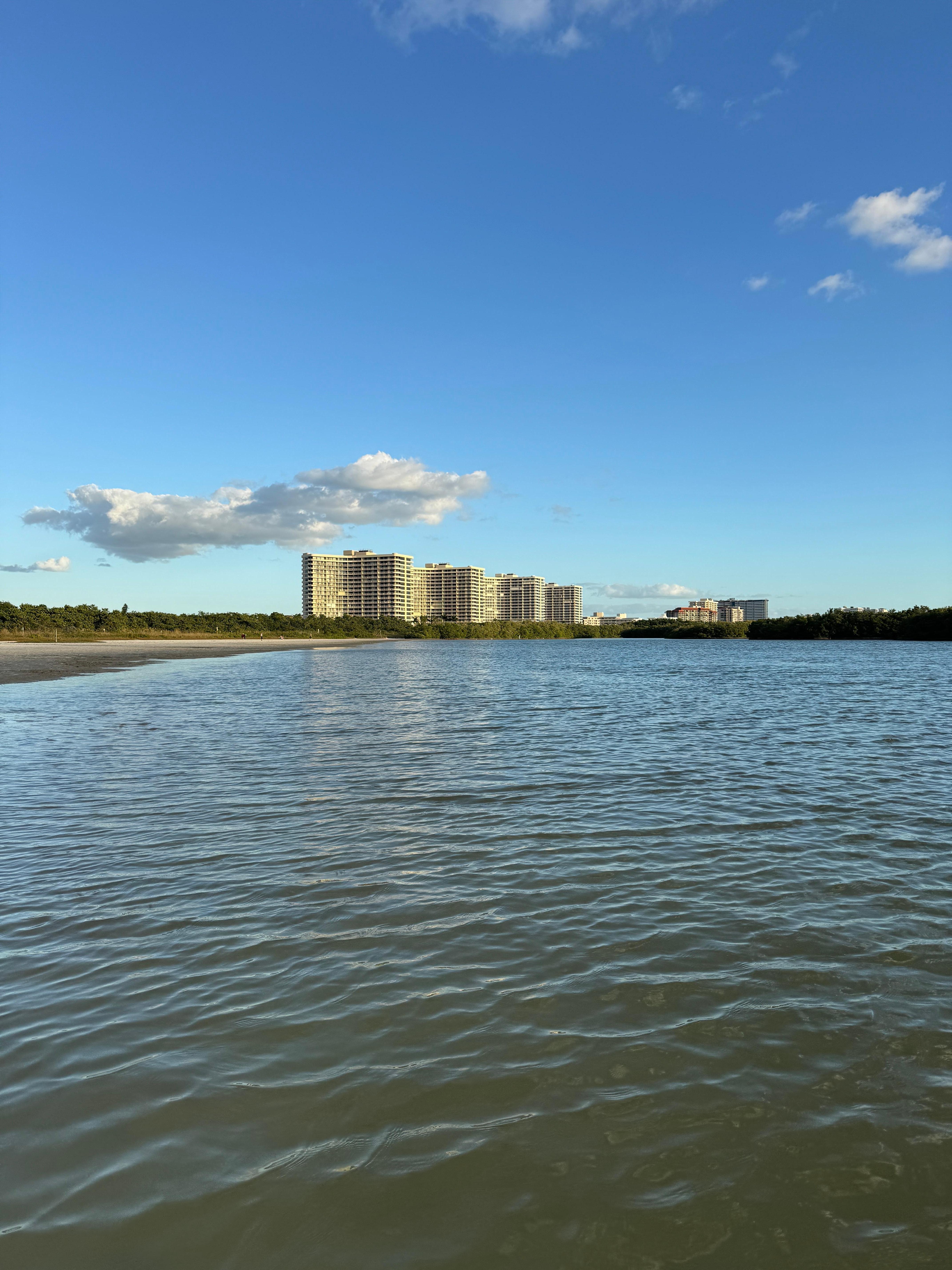 Towers from the lagoon