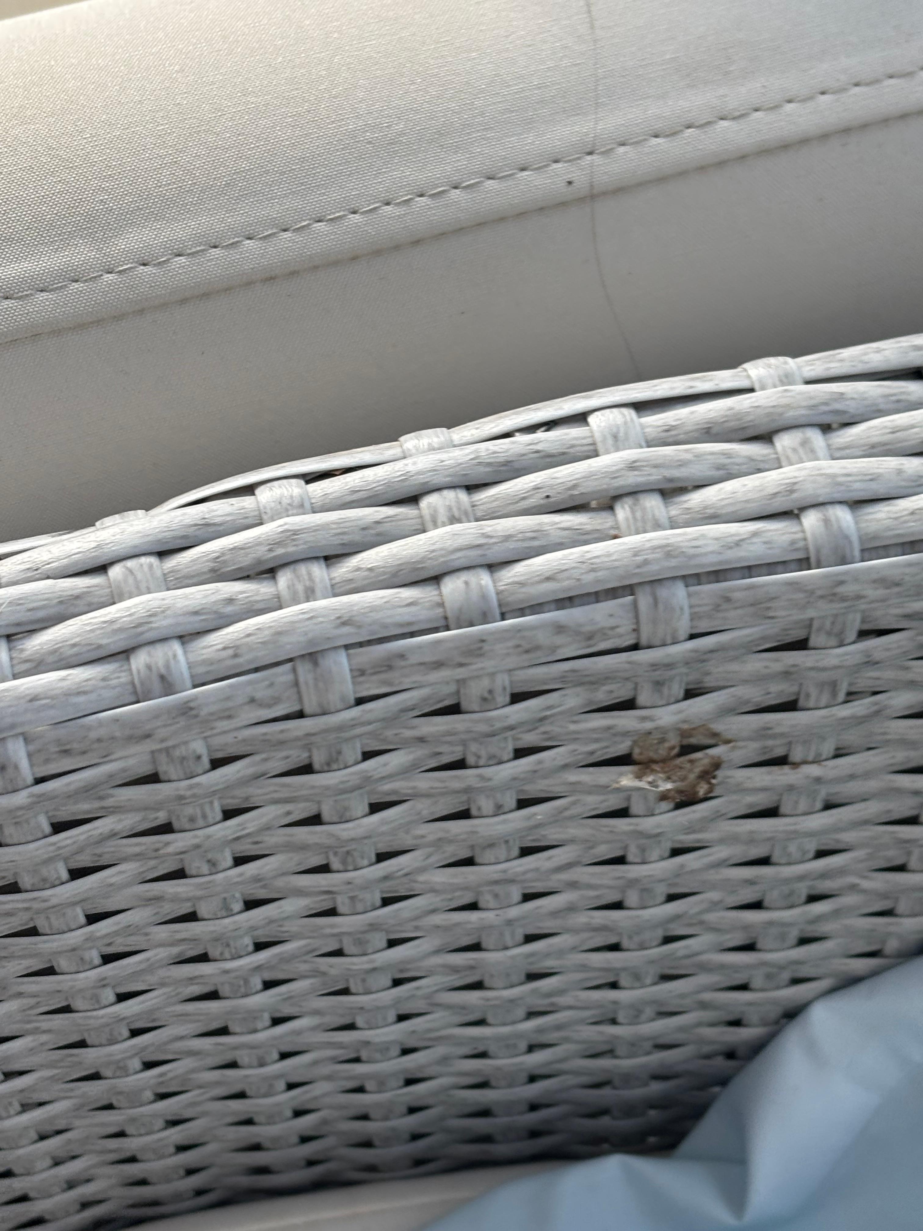 bird poop on the bedroom chair