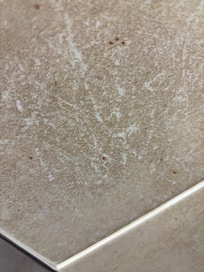 Blood spatters all over bathroom tiles