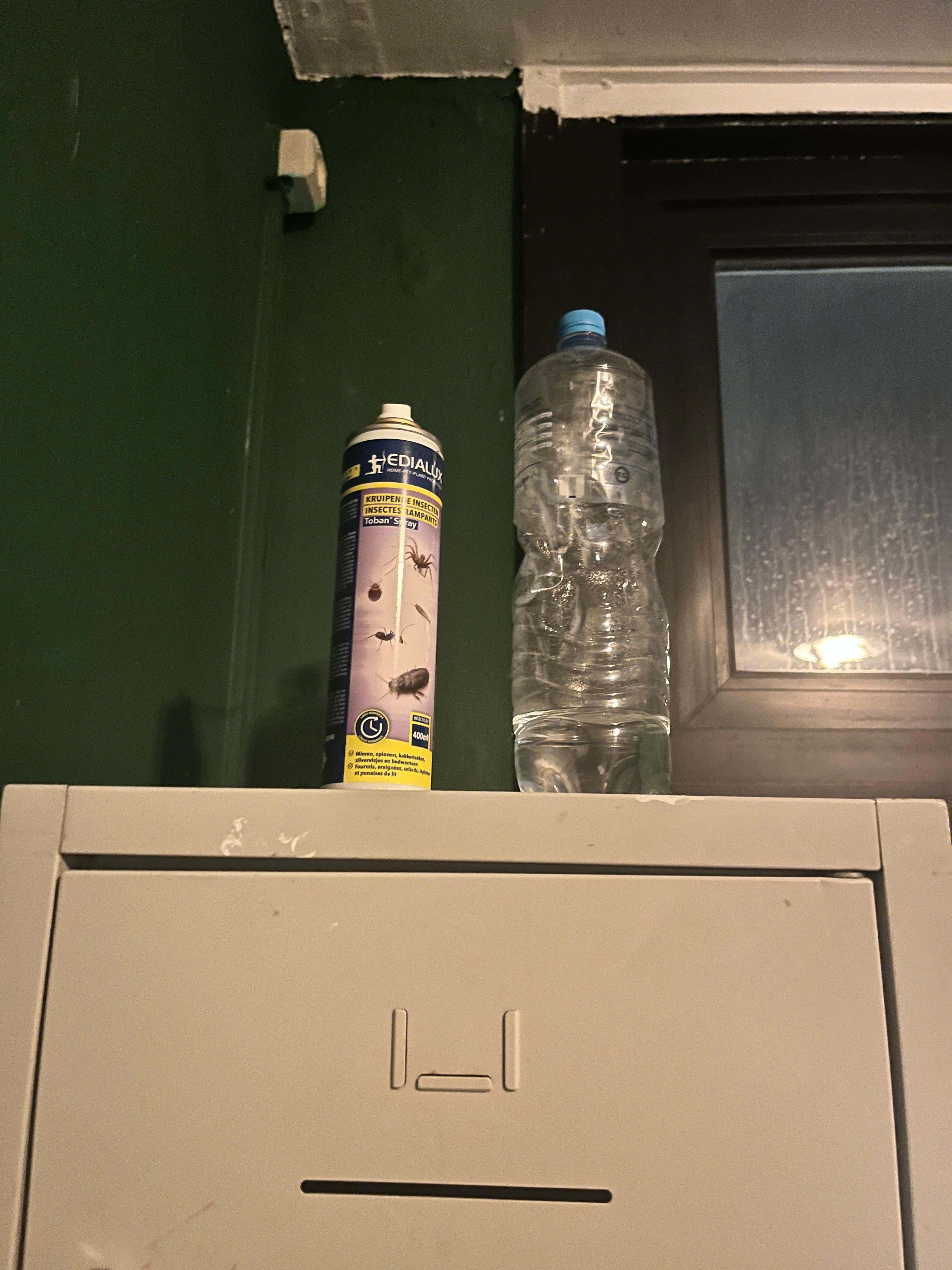Spray anti punaise de lit présent dans tous les chambres…
