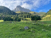 Rando dans les alpages en direction des Cornettes de Bise