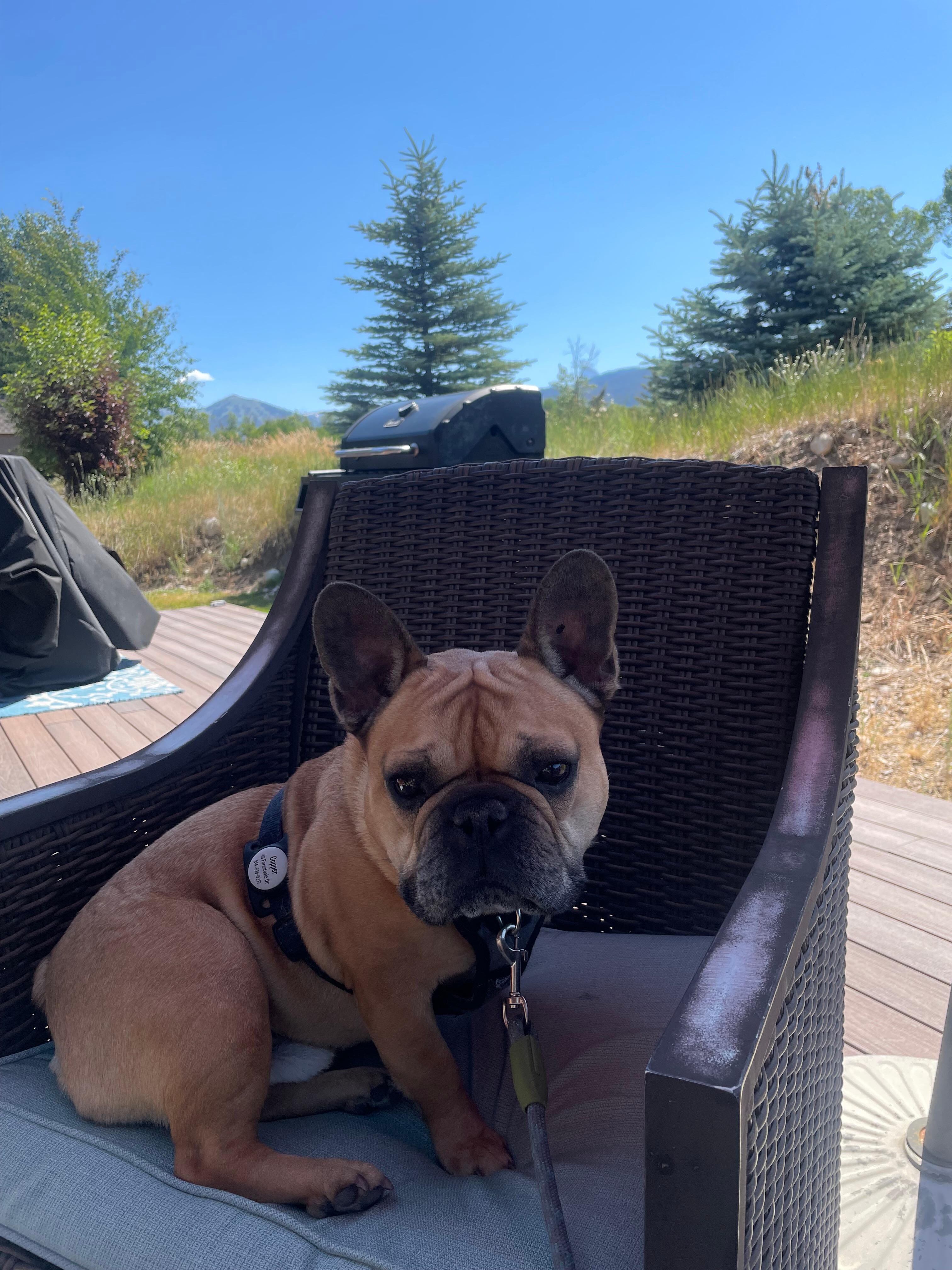We loved sitting outside on the deck!  