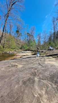 View of the creek towards the mini cabin(not visible)