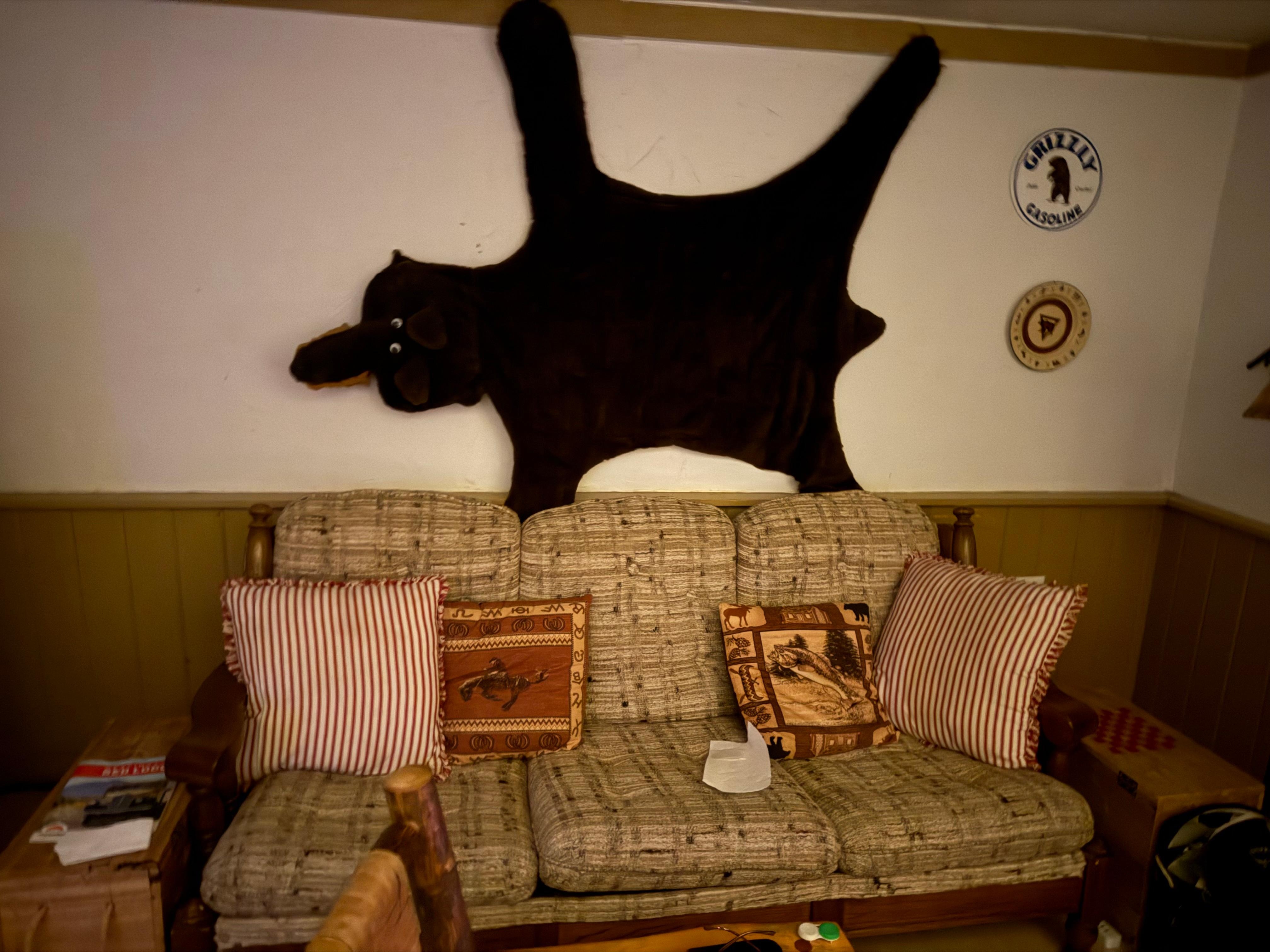 Living area.  