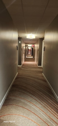 11th floor hallway