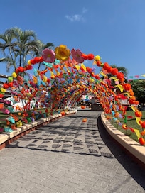 We loved being there for Halloween and Day of the dead celebrations