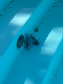 Exposed wires in the pool