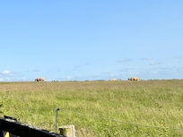 View from the driveway