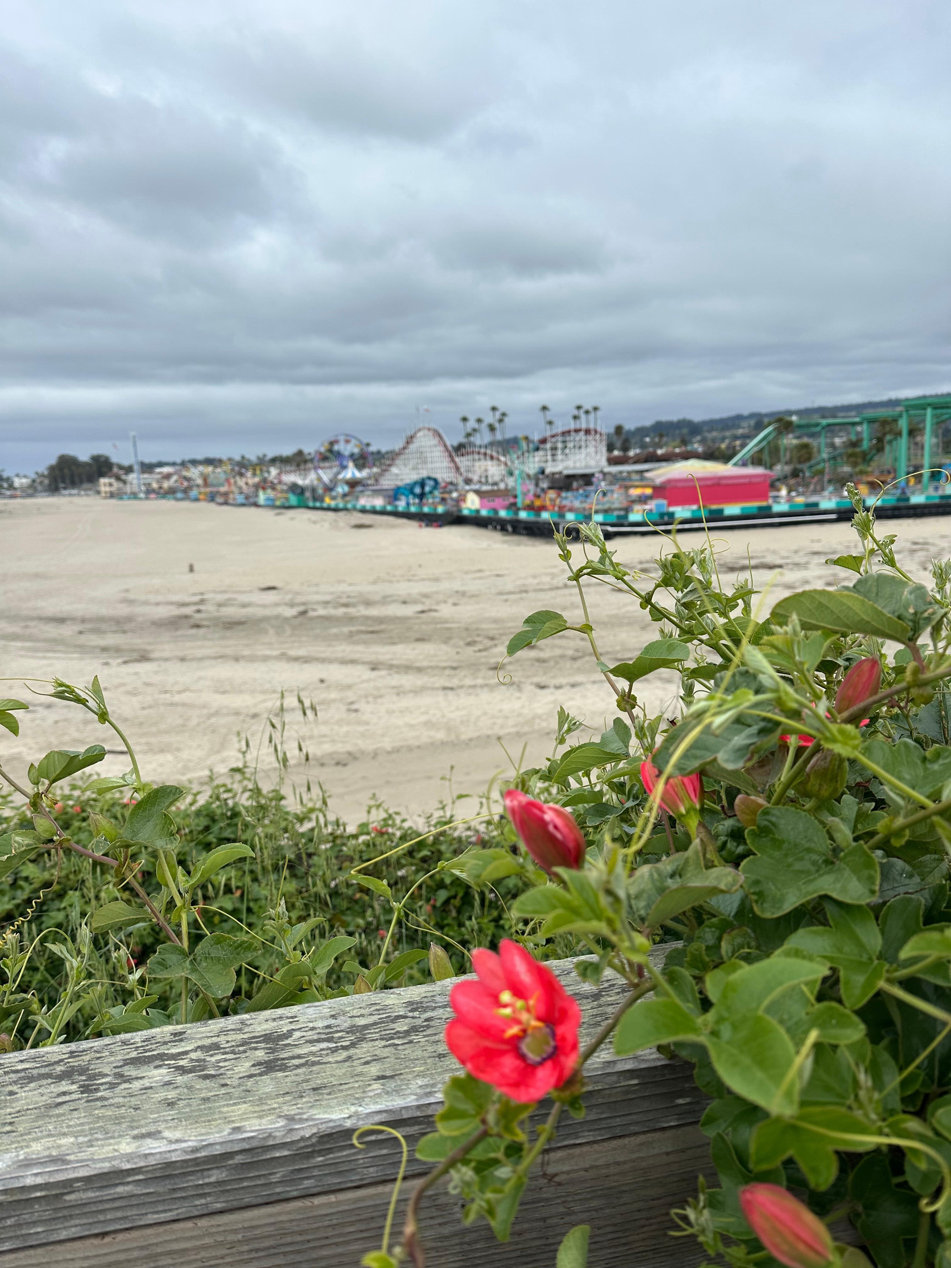 Within walking distance to lots of cool places!
