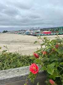 Within walking distance to lots of cool places!