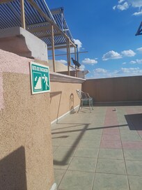 En la terraza viven unos buitres negros