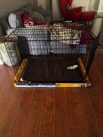 Nice dog kennel to use