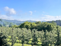 This was our view every morning, having coffee, and in the evening when it cooled off having a cocktail. Just wonderful.