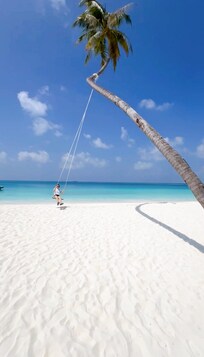 ヤシの木のブランコ、天国か?と思う時間♬