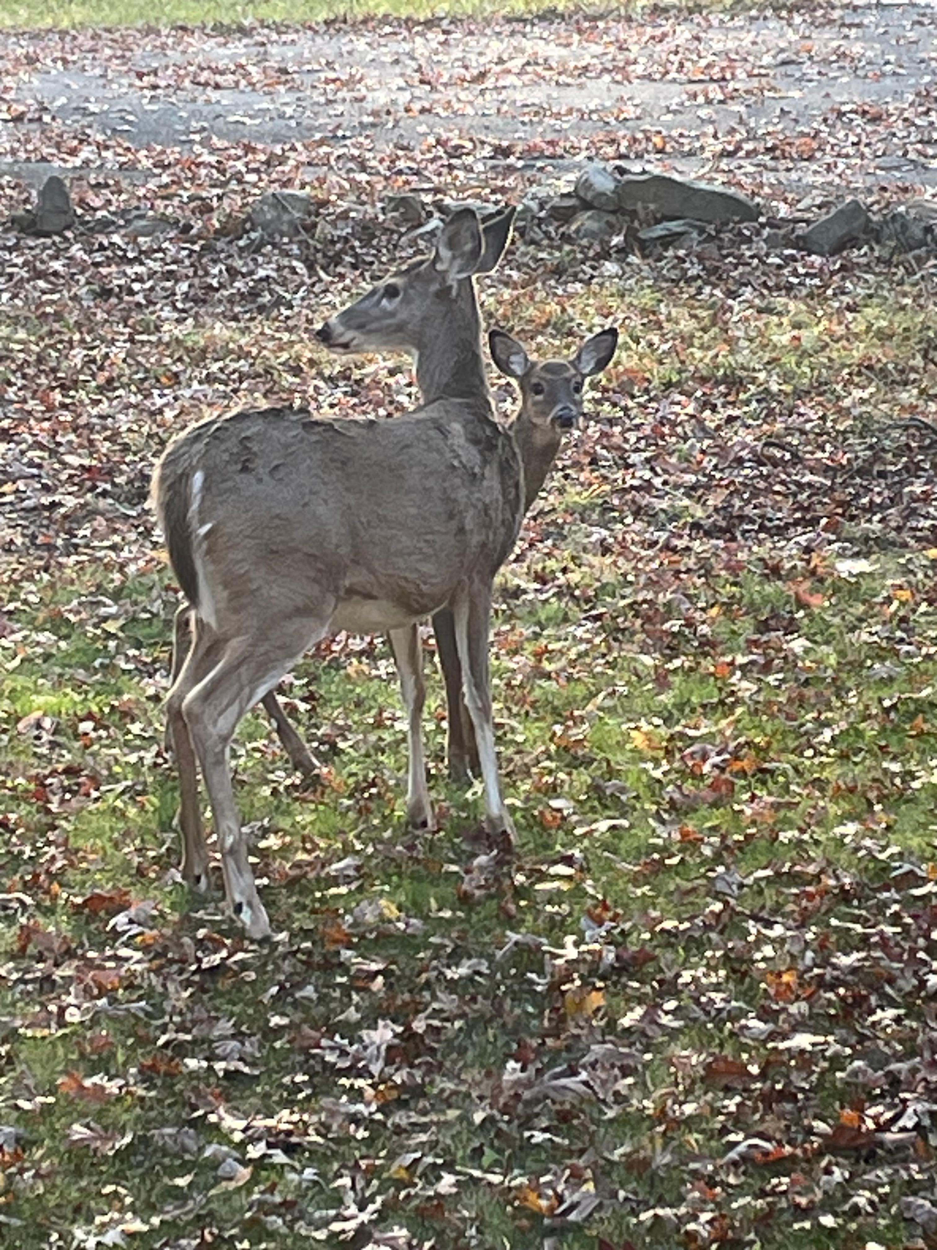 Family visited multiple times a day. 
