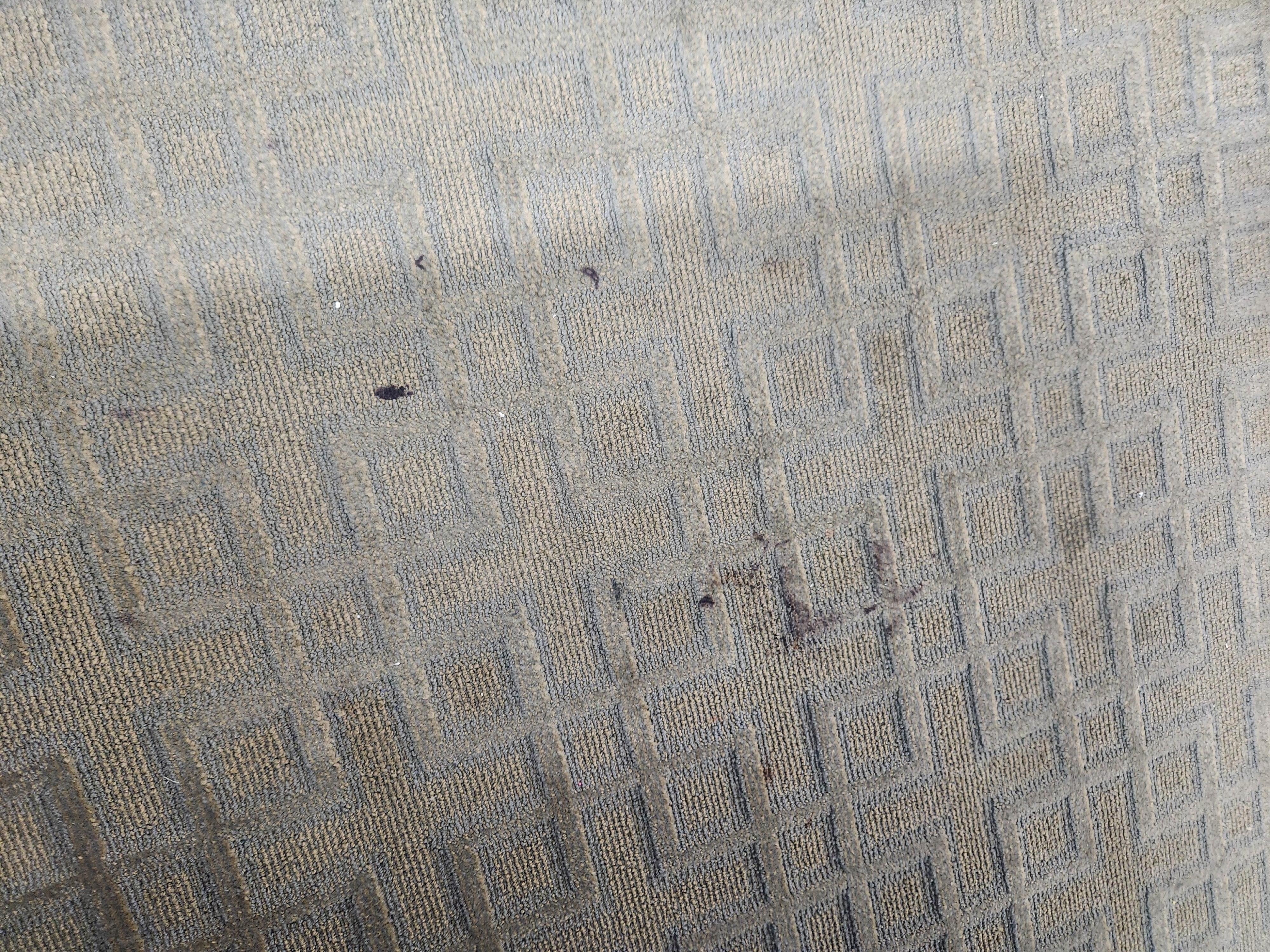 Dirty nasty sticky rug