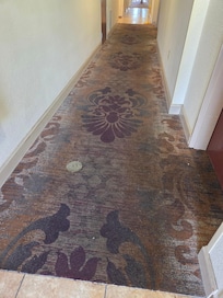 Dirty hallway carpet