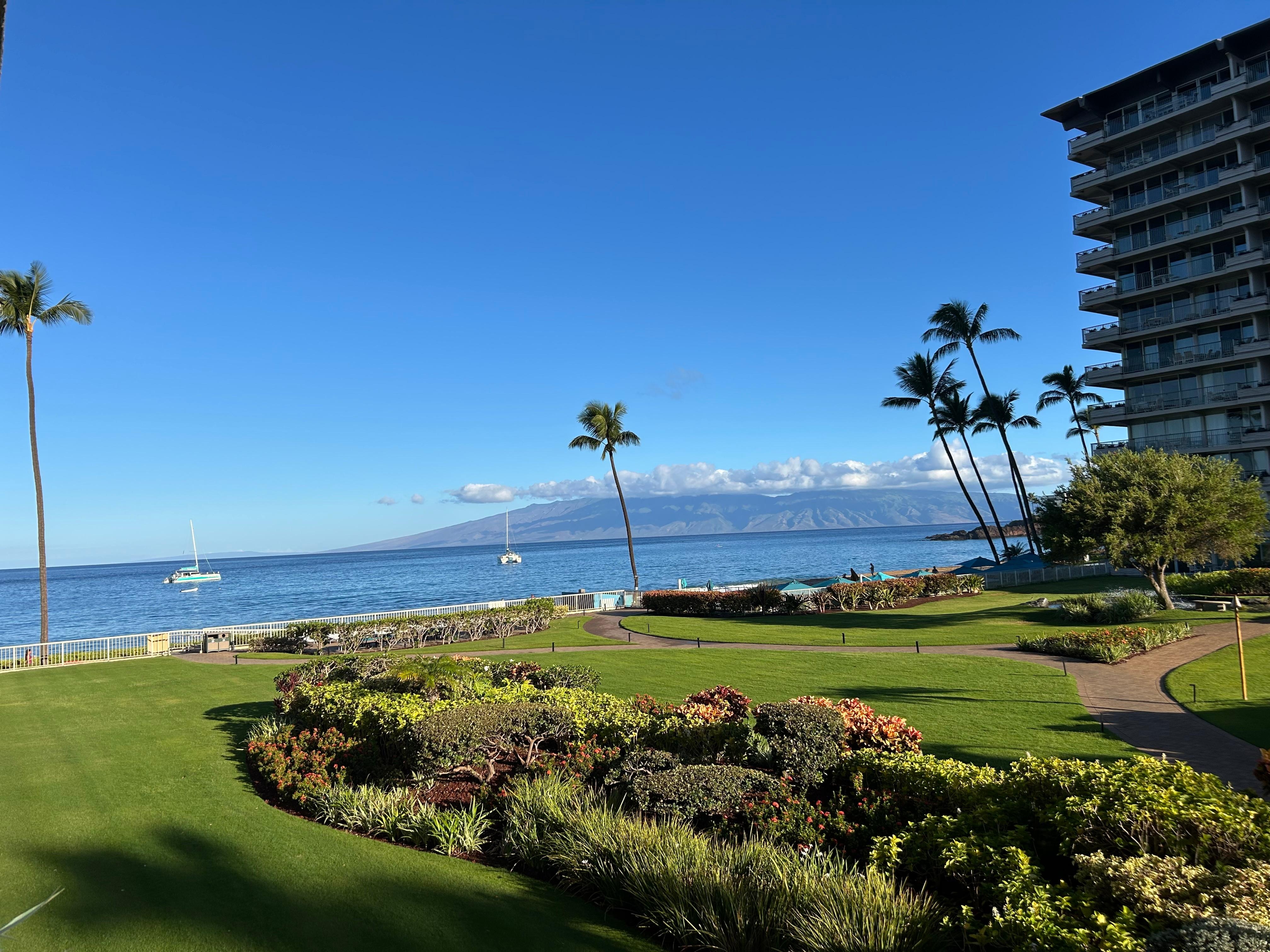 Morning view from lanai