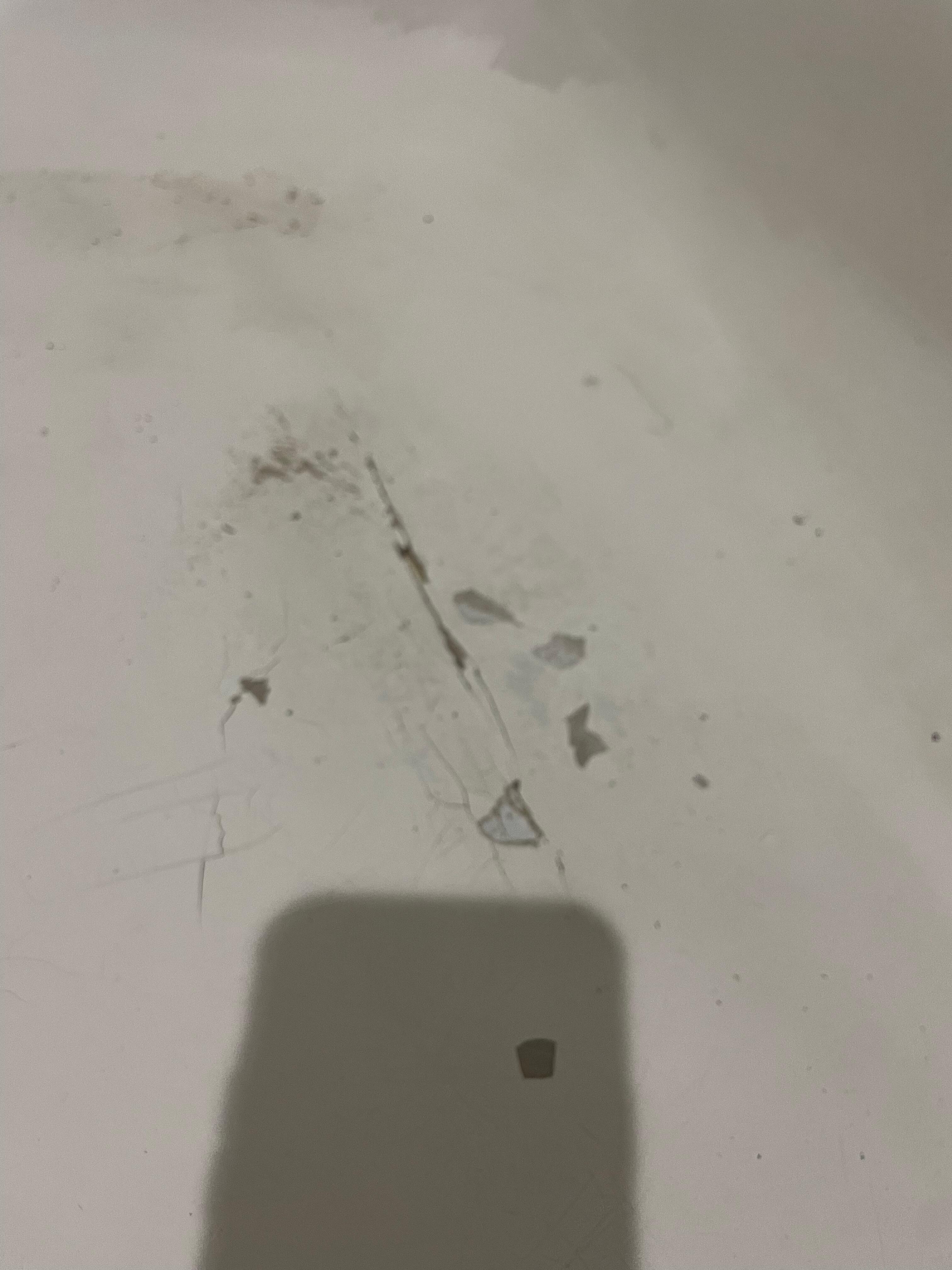 Tub crack 