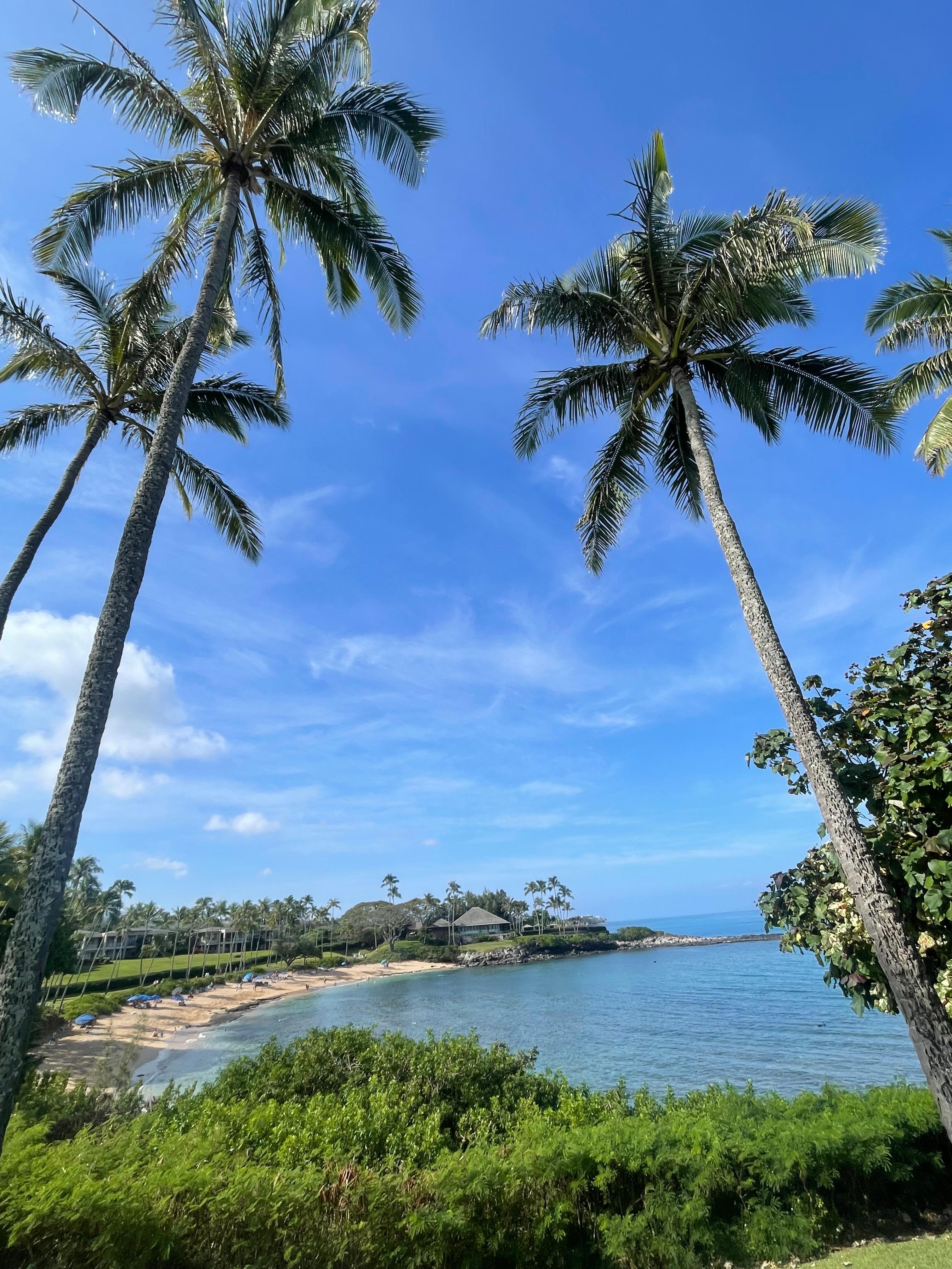 Kapalua Bay- great snorkeling! Go early mourning  have the beach to yourselves 