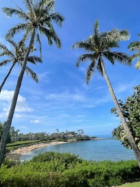 Kapalua Bay- great snorkeling! Go early mourning have the beach to yourselves