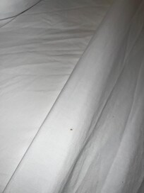 Stain on comforter