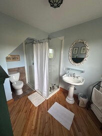 Downstairs bathroom/shower stall