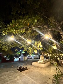 The grounds