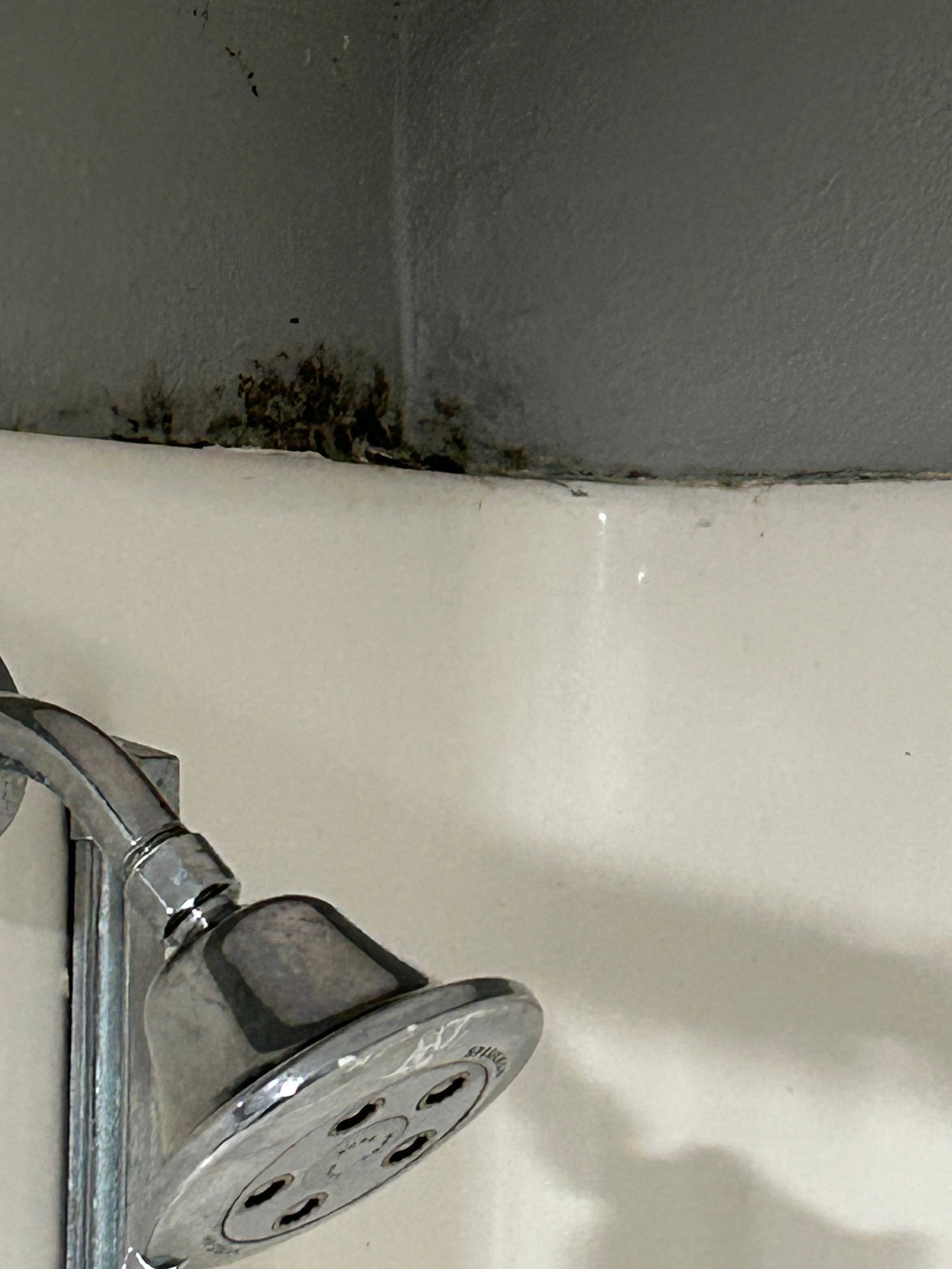 Shower moldy, vent fan did not work