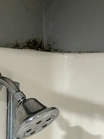 Shower moldy, vent fan did not work