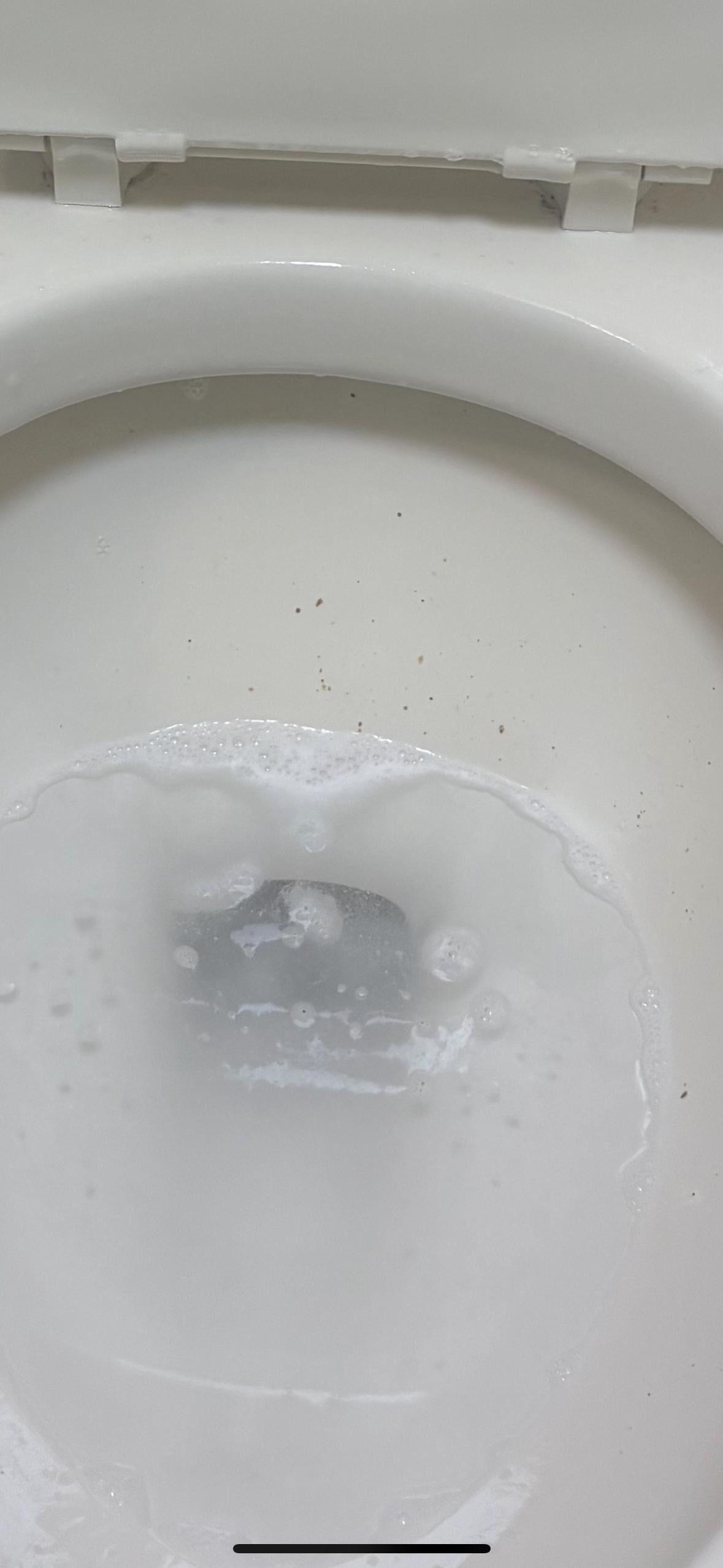 The toilet in question 