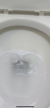 The toilet in question