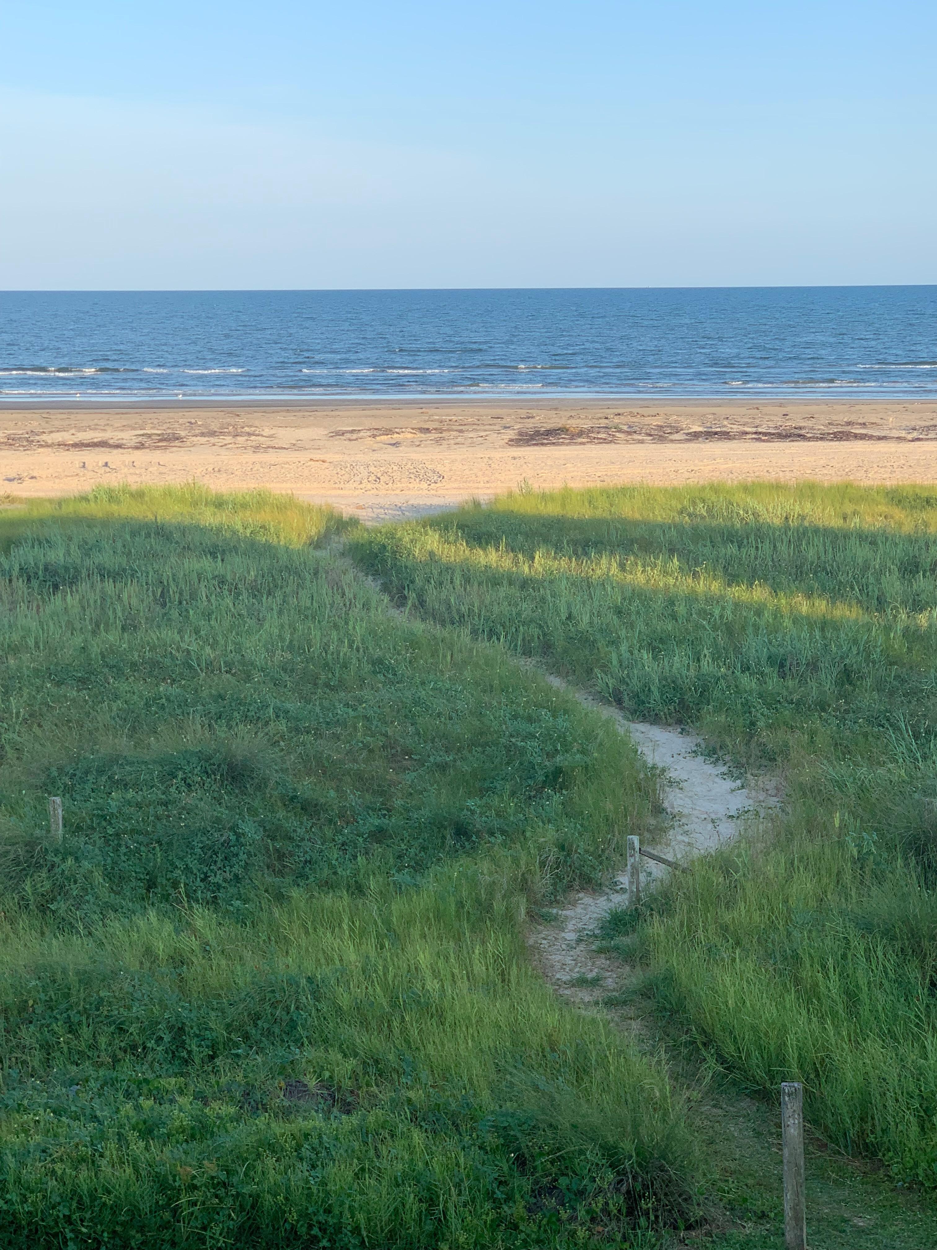 View from the covered deck. 