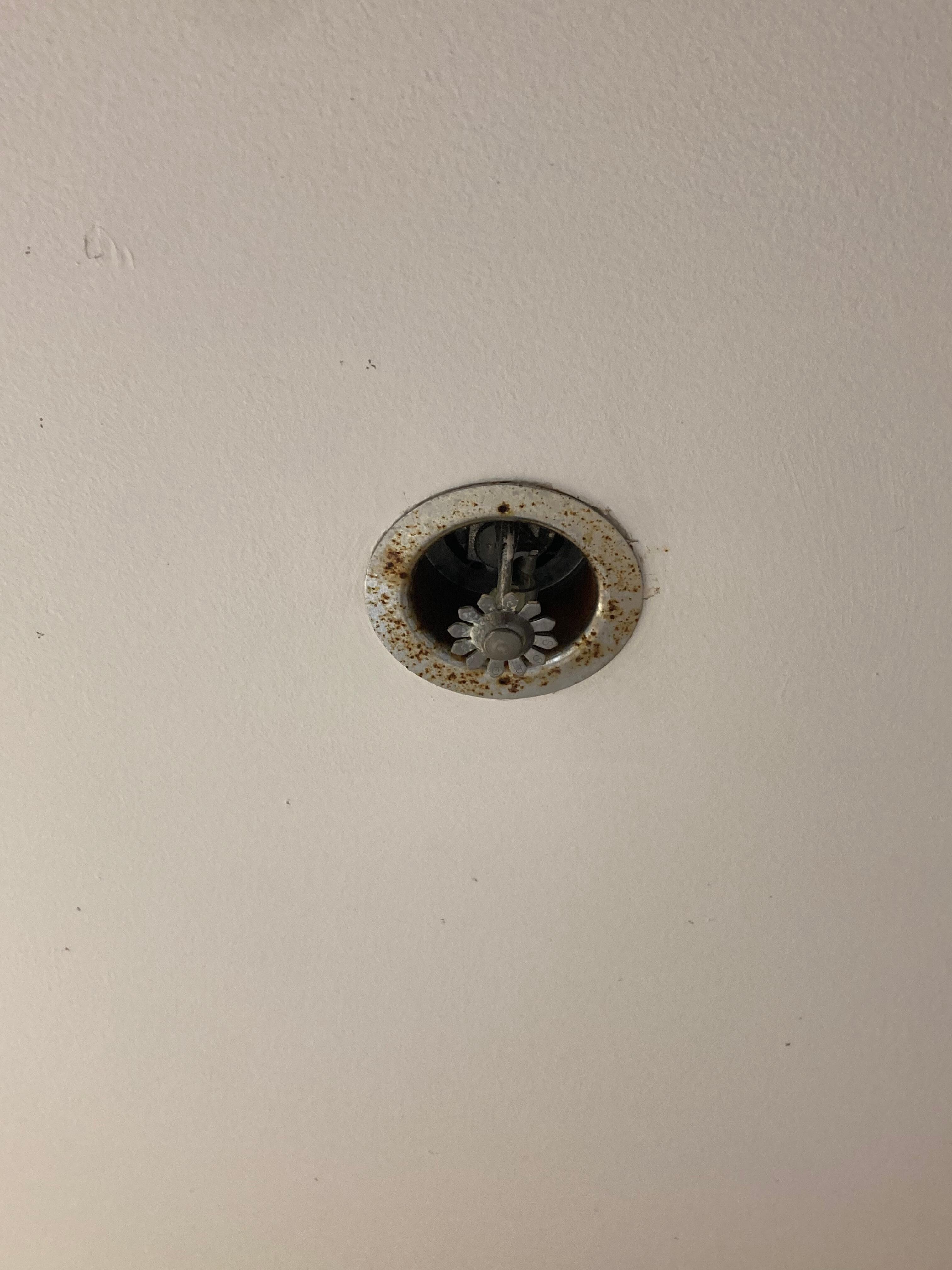 Shower drain corroding 