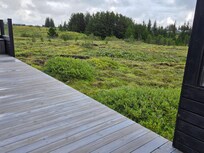 Yard is green, but it is actually a lava field from the nearby Crater.