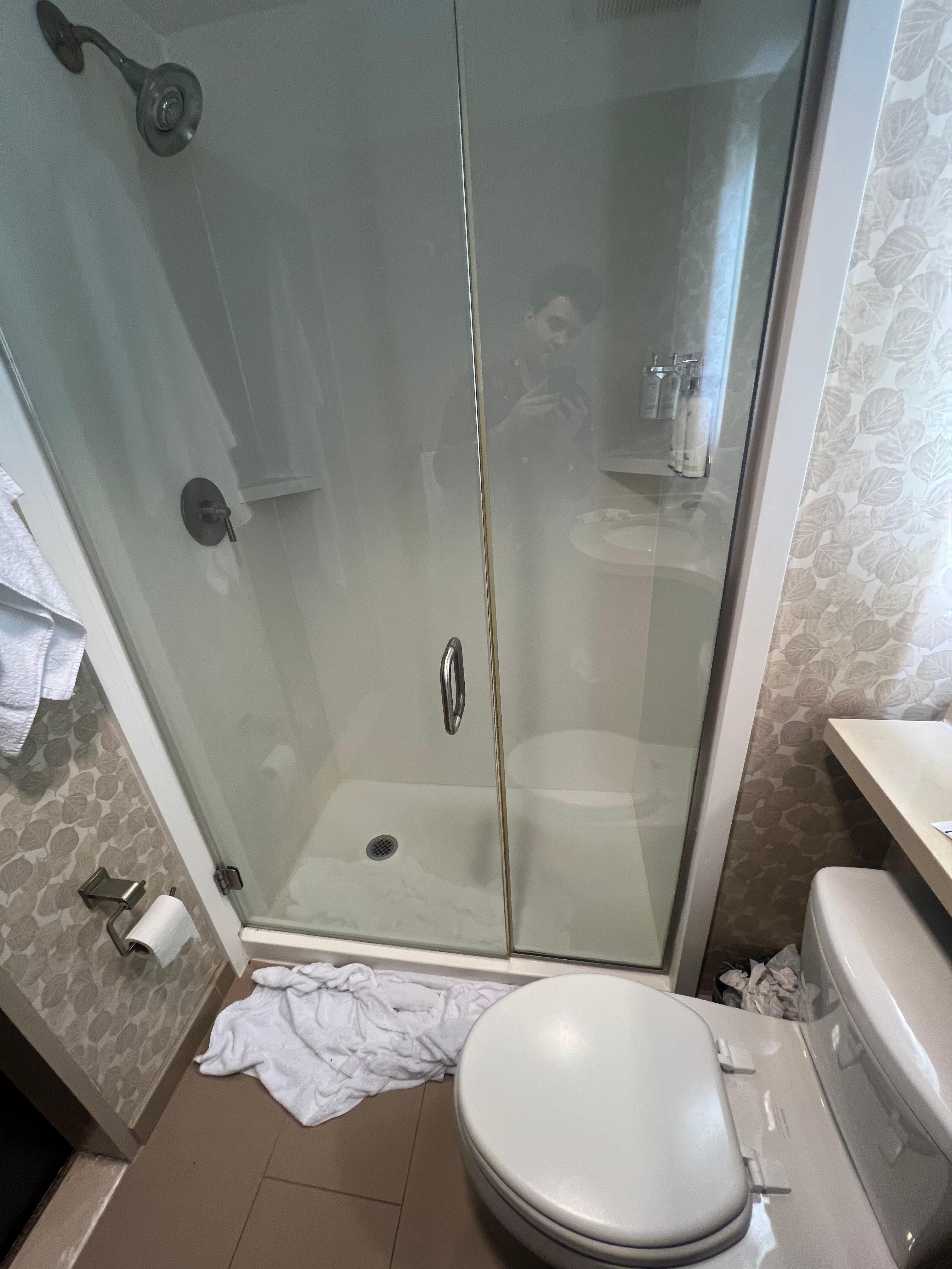 Sagging door and old seals resulting in shower door not closing and leaking