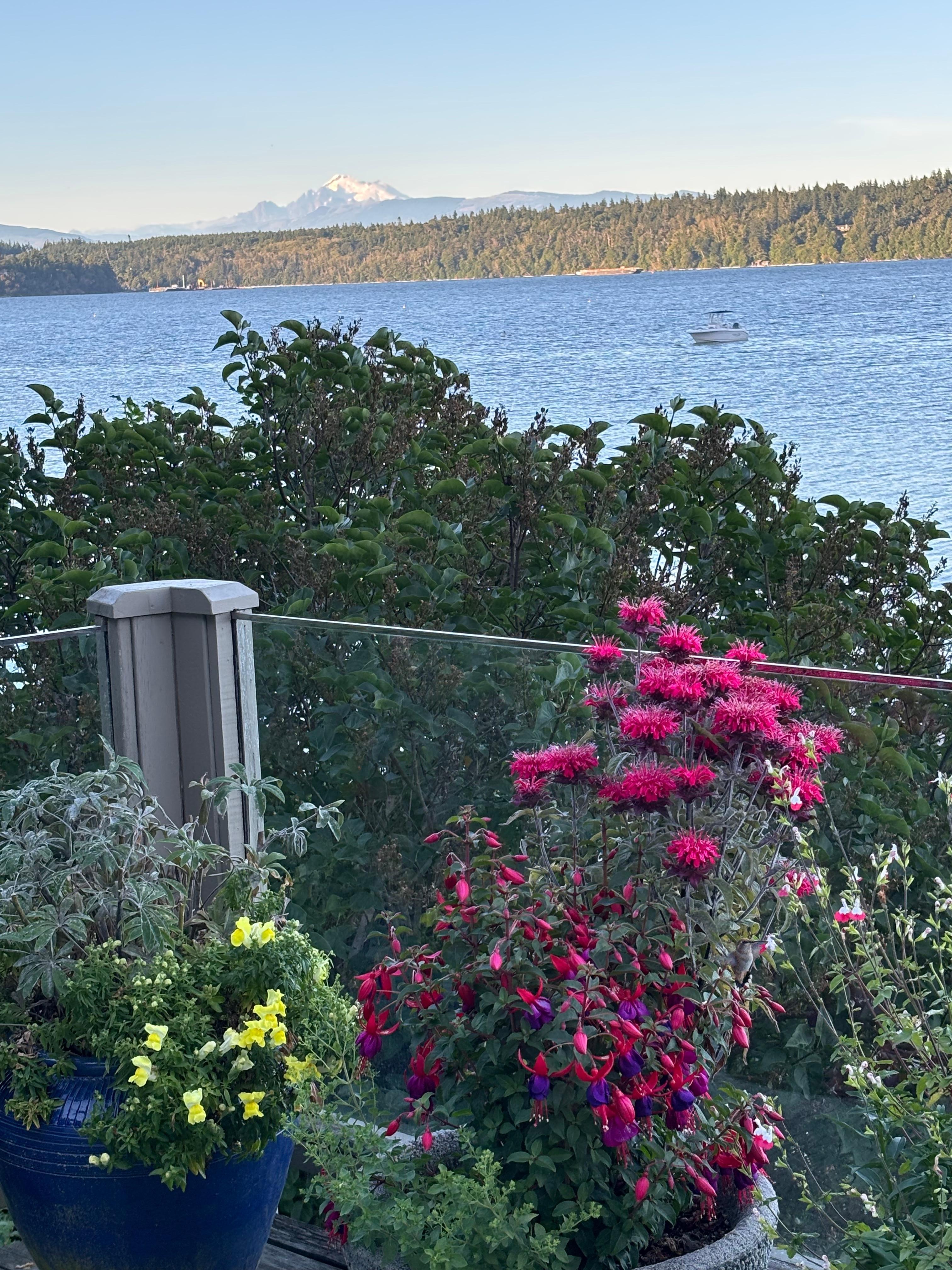 Morning with Mt Baker