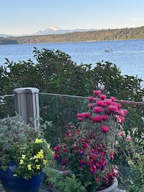 Morning with Mt Baker