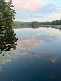 Reflections 8/7/25