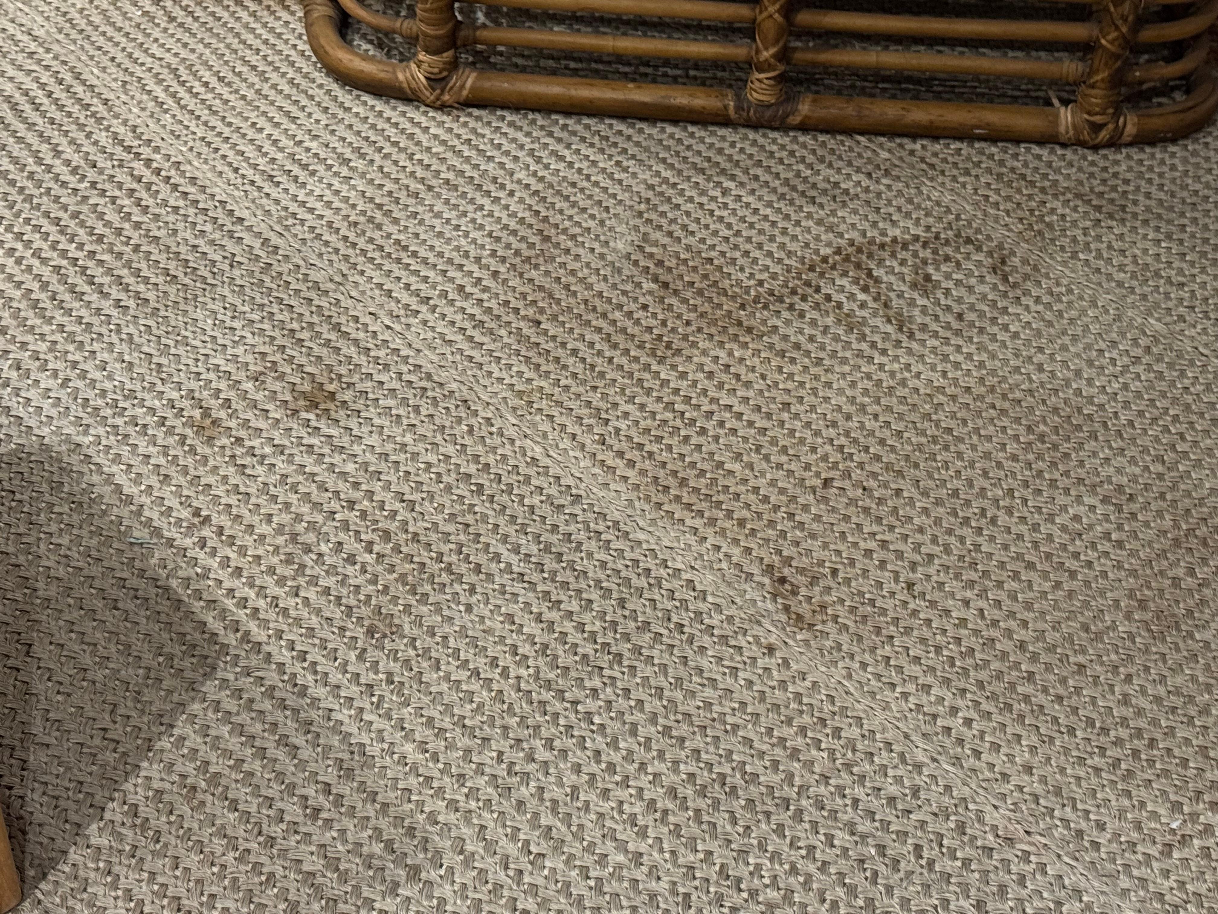 Stained rugs and furniture